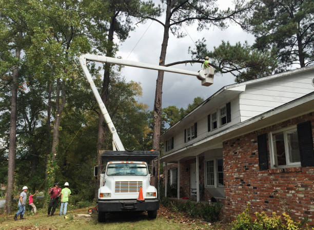 Landscape Design and Installation in East Glenville, NY